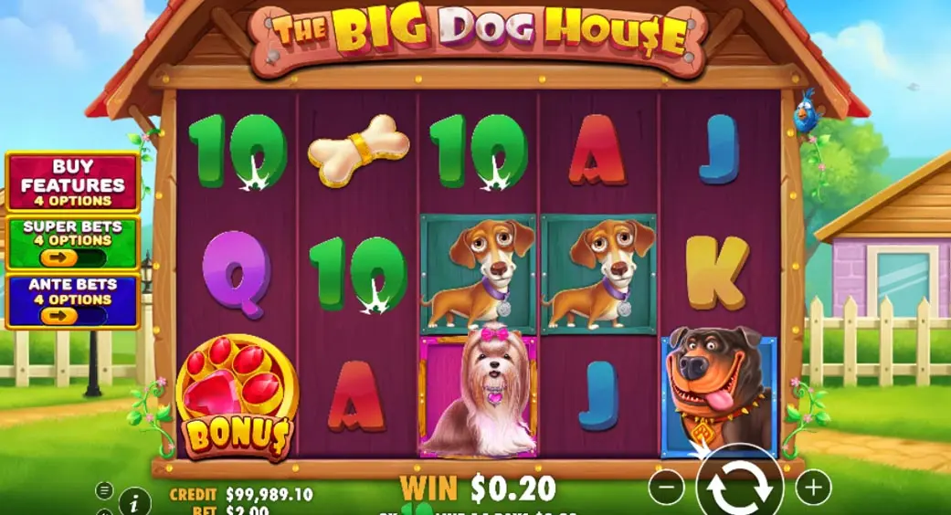 The Big Dog House