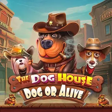 The Dog House Dice Show